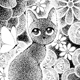 あずきとおうち