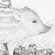イノシシ