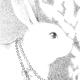 うさぎ