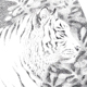 白虎